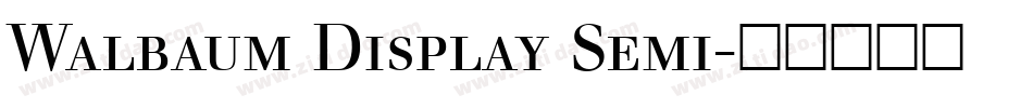 Walbaum Display Semi字体转换